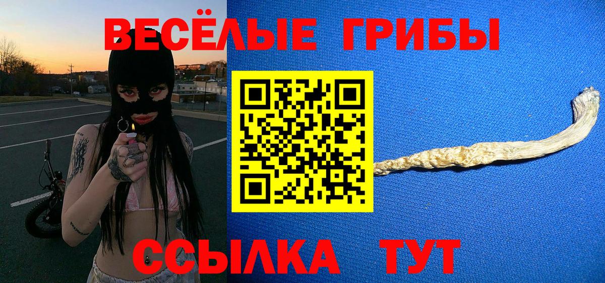 Морозовск  Галлюциногенные грибы Psilocybine cubensis  Вход с VPN 